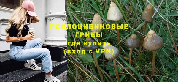 ГАЛЛЮЦИНОГЕННЫЕ ГРИБЫ Балабаново