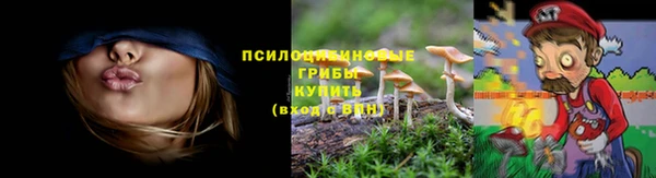 ГАЛЛЮЦИНОГЕННЫЕ ГРИБЫ Балабаново